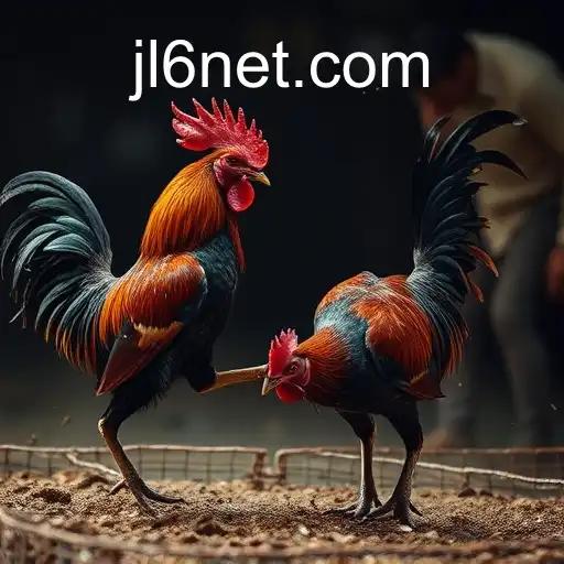 Security and Trust JL6 - International Licenses and Certifications